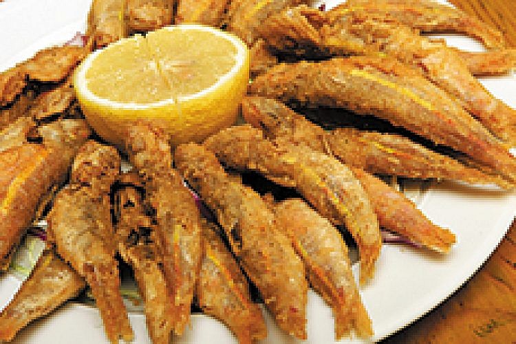 ברבוניה. צילום: גיא נחום לוי