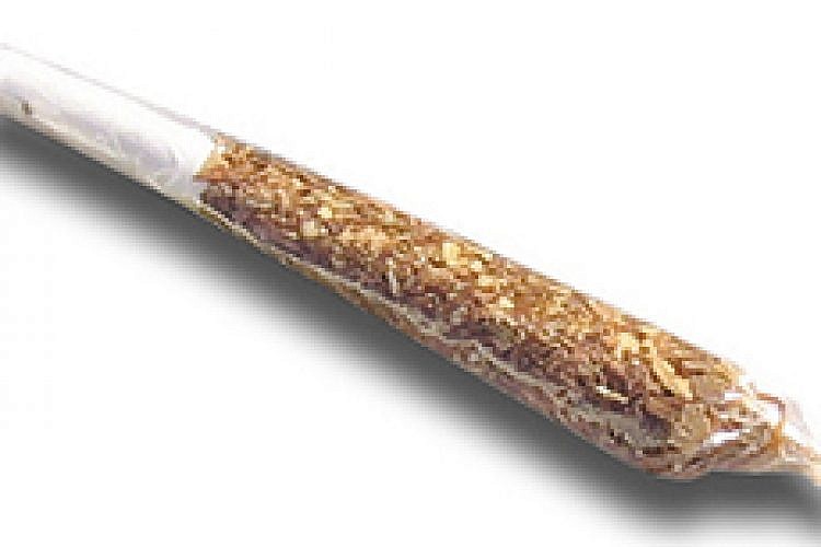 יותר גרוע מגז מזגנים. סקאנק