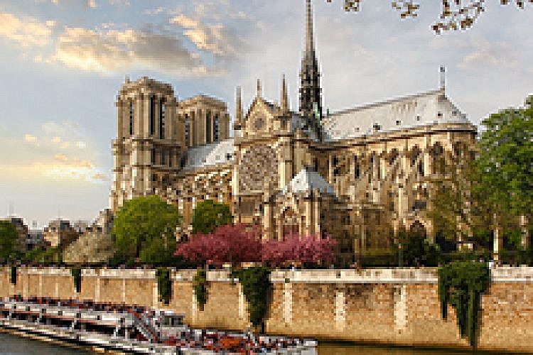 נוטררדאם (צילום: shutterstock)