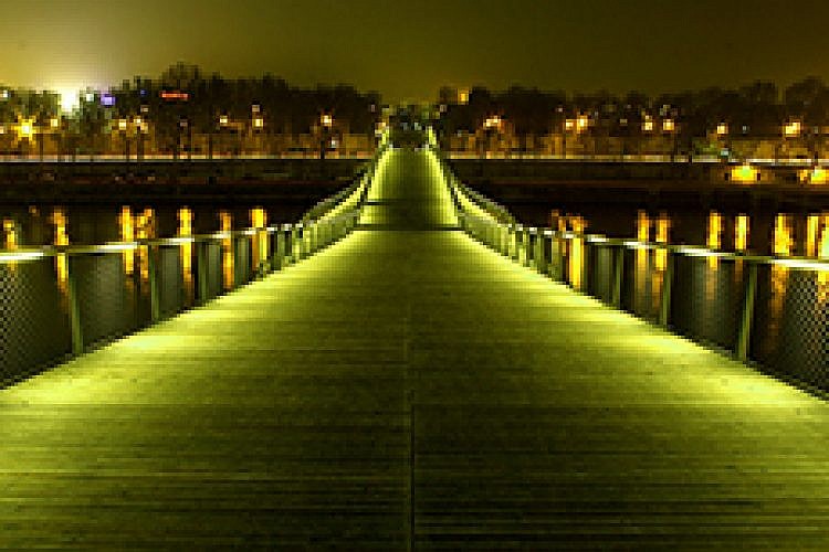 Passerelle-Simone-de-Beauvoir (צילום: shutterstock)