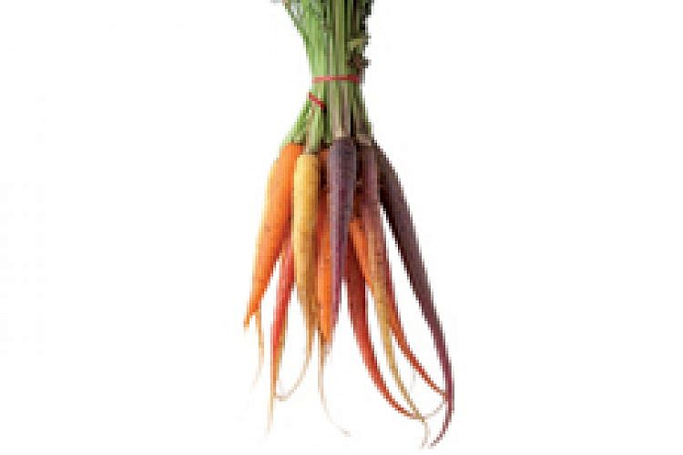 מותר להתפנק על גזר? צילום: אנטולי מיכאלו