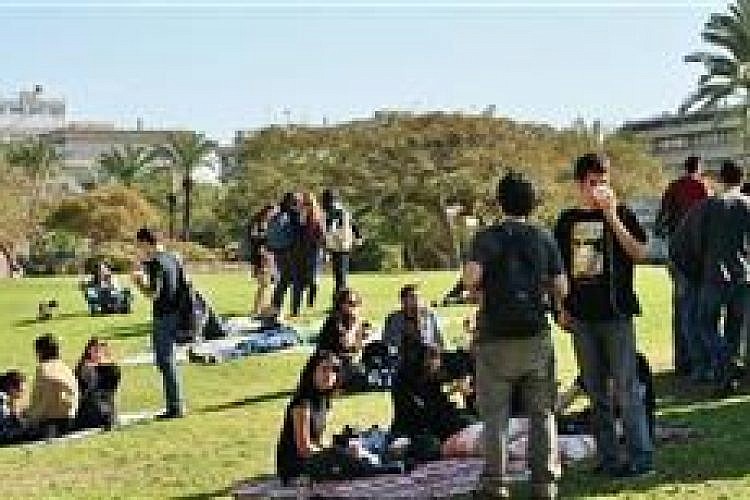 סטודנטים בהפסקת צהריים באוניברסיטת תל-אביב. צילום: שקד זיכלינסקי