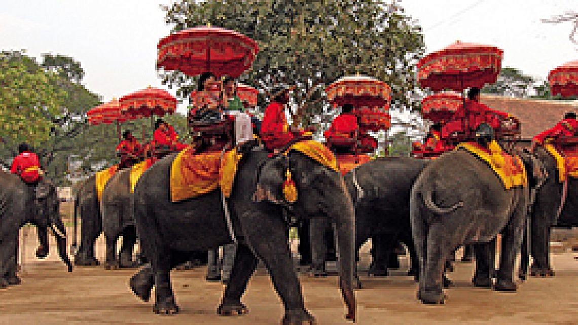 רכיבה על פילים (צילום: טיים אאוט)