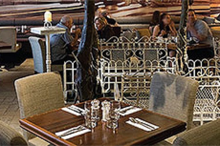 מה הקטע עם כל הבוטנים? שגב אקספרס. צילום: יח"צ