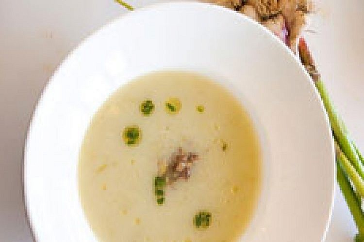 מרק שום וירקות שורש, שפית טלי פרידמן. צילום: יוסי סליס