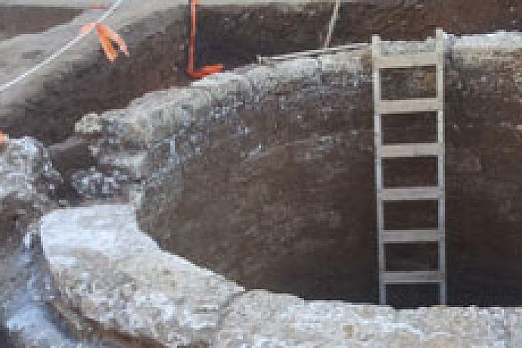צילום: חמי שיף