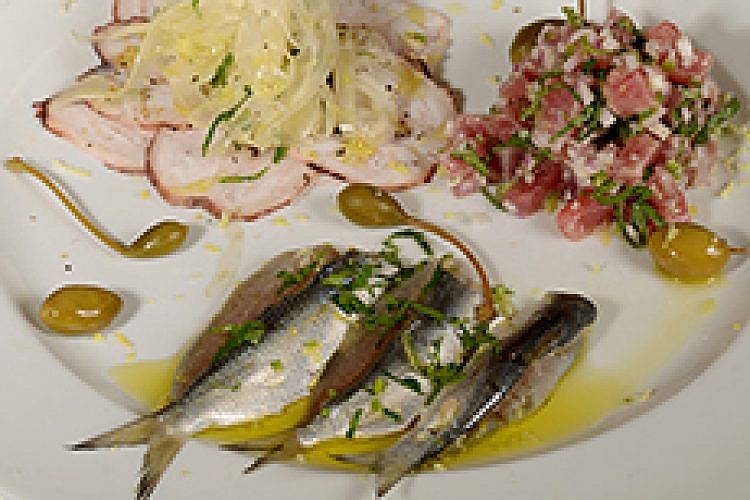 קוצ'ינה תמר. צילום: רן בירן