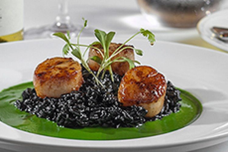 סקאלופ על ריזוטו שחור, הרברט סמואל. צילום: הרברט סמואל