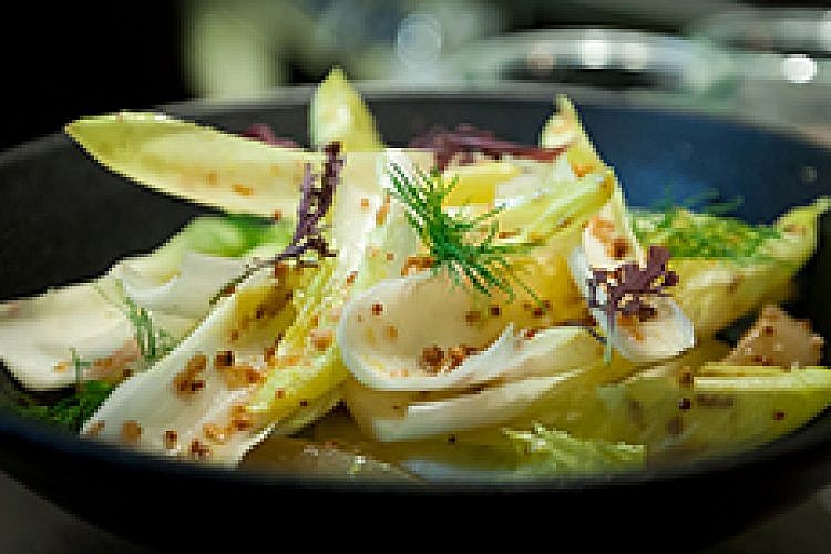 אונזה. צילום: בועז לביא