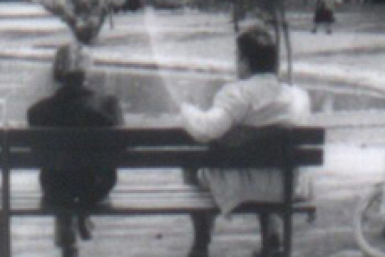 גן מאיר. צילום: וילי פילנדר
