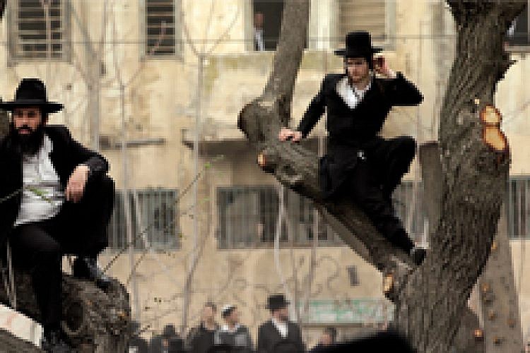 הפגנת חרדים. צילום: איליה מלניקוב