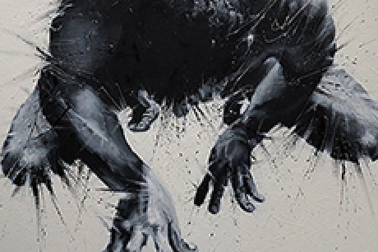 Paolo Troilo. Photo by: Tal Perry