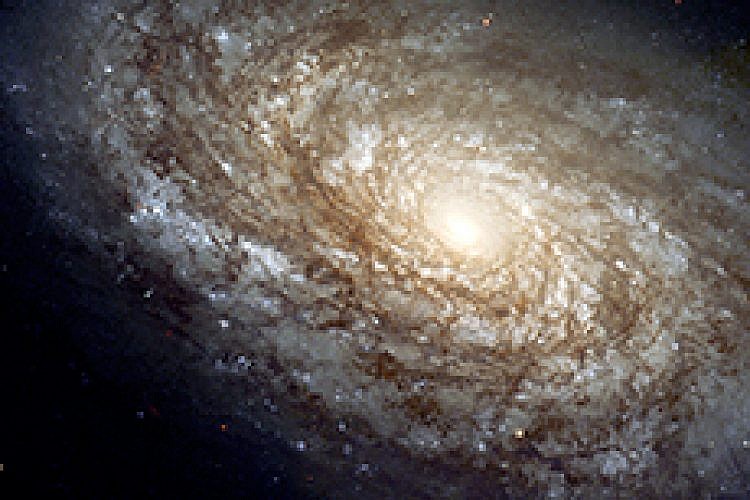 מוטי מילגרום ודניאל ללוש: גלקסיה NGC 4414. צילום: נאס"א