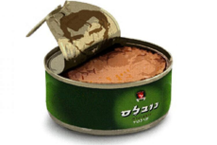 עטיפת הספר "על החתרנות"
