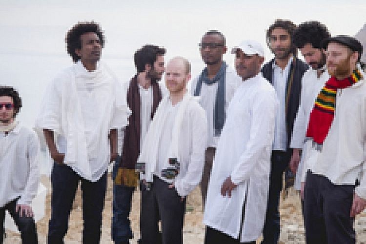 זבולון דאב סיסטם