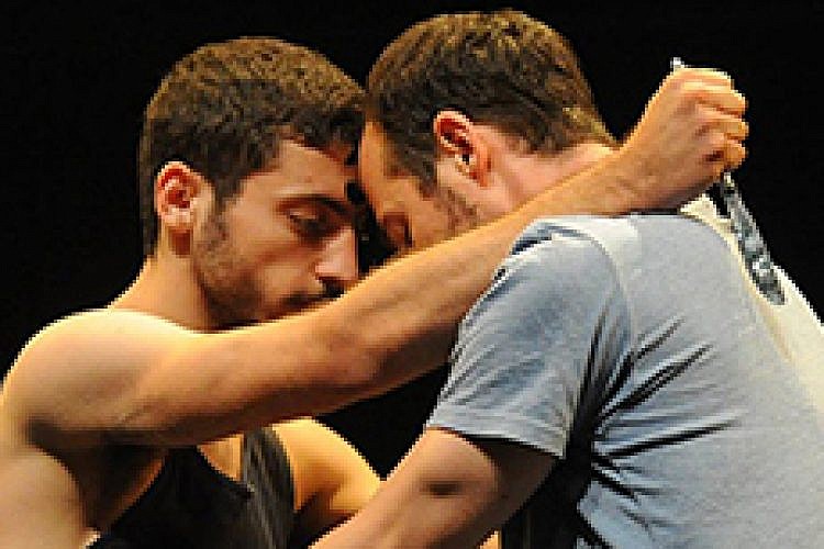 "אוהבים ערבים". צילום: גדי דגון