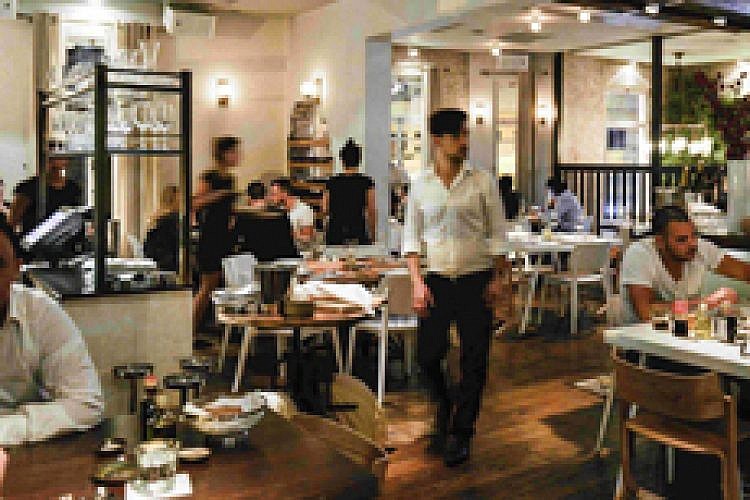 ARIA. צילום: בן יוסטר