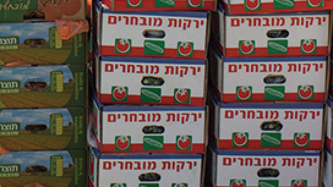 מכירת הפירות והירקות באוניברסיטת תל אביב. צילום: אורן זיו