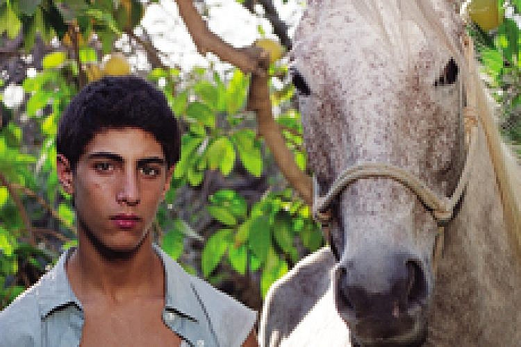Adi Nes, Horse