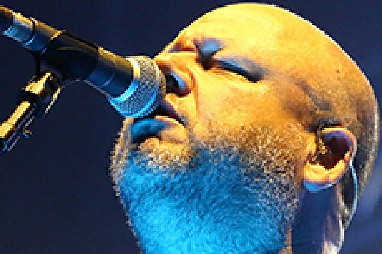 פיקסיז בישראל. צילום: אורית פניני
