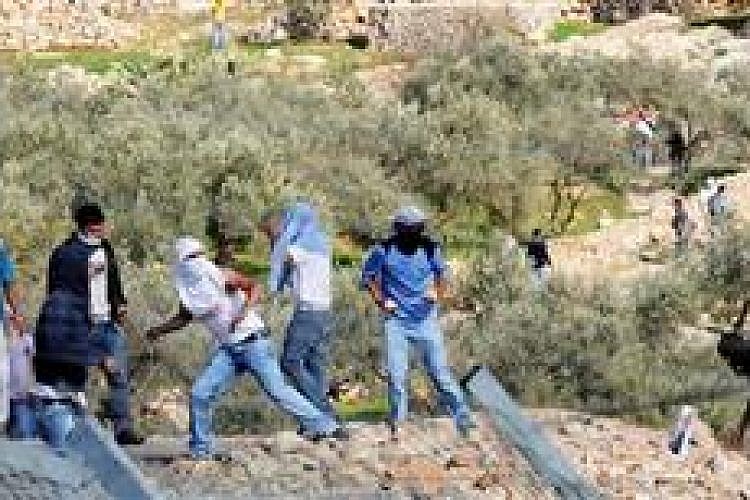 פלסטינים מיידים אבנים. צילום: דובר צה"ל (מתוך ויקיפדיה)
