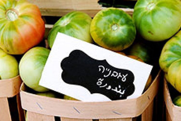 שוק בלדי. צילום: רובי קסטרו