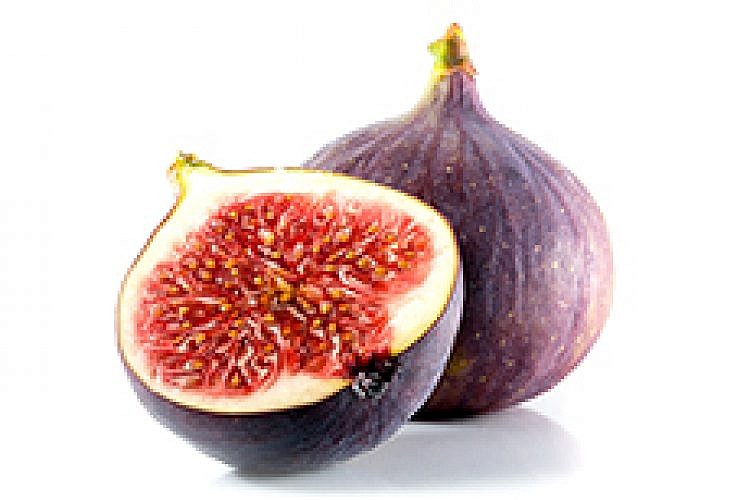 תאנים. צילום: Shutterstock