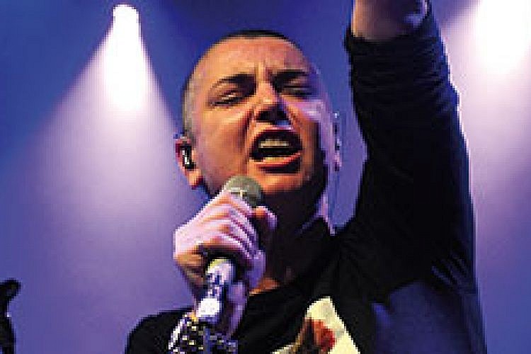 שייניד או'קונור. צילום: יח"צ