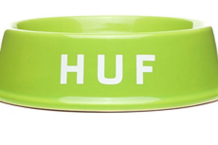 קערה לכלבים. צילום: יח"צ