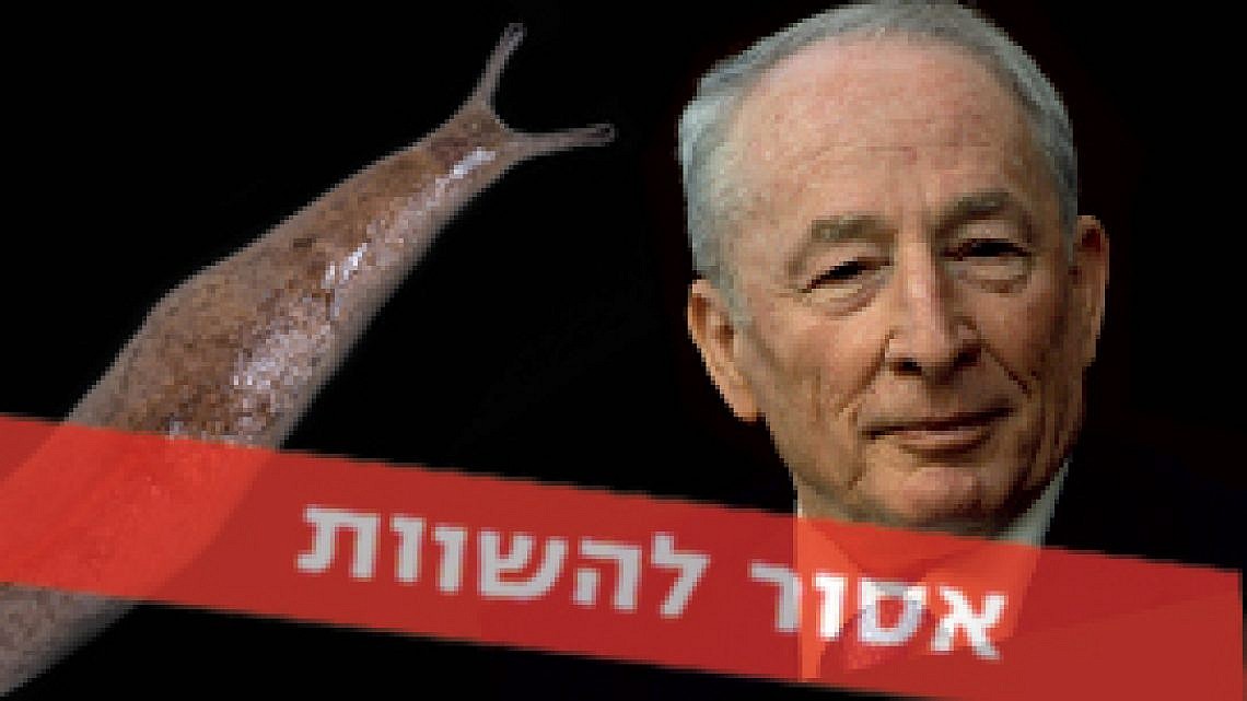 חשופית VS. יהודה ויינשטיין