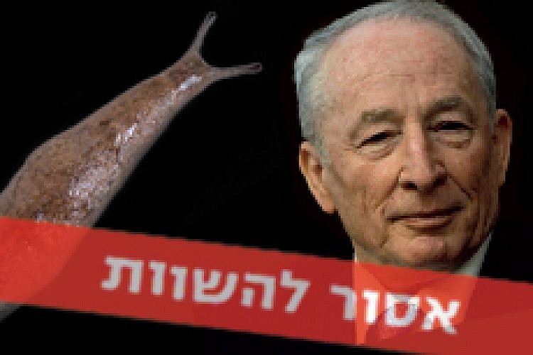 חשופית VS. יהודה ויינשטיין