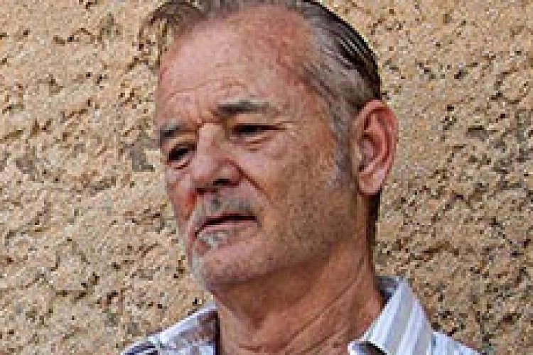מתוך "וינסנט הקדוש"