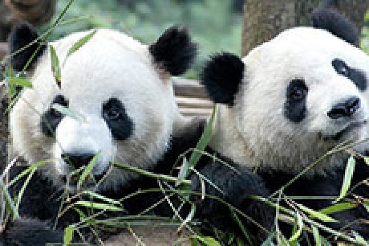 צילום: Shutterstock