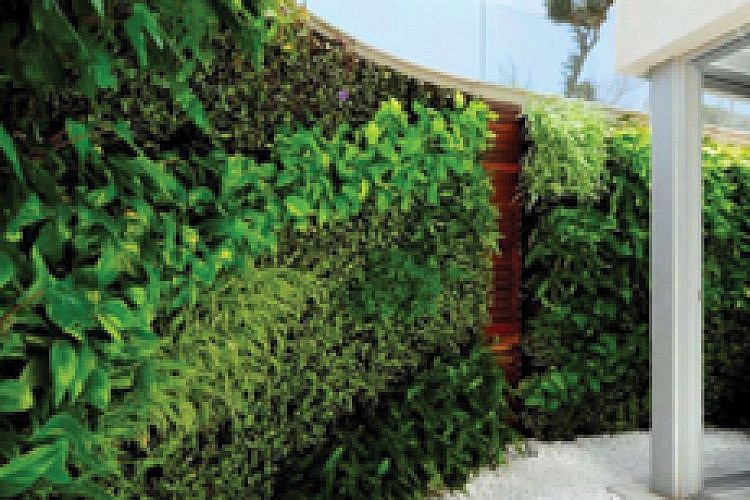 green-wall-israel-company-profile-1-t