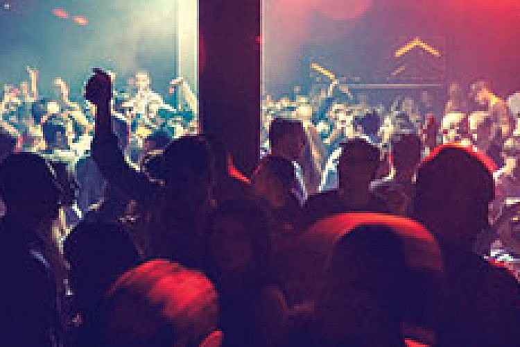 perfect-party-combination_cat-and-dog_nightlife_music_1-T