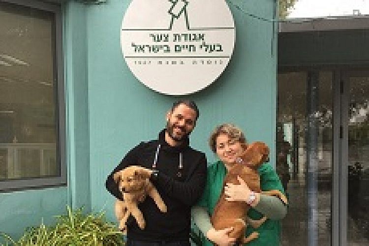 דר ילנה אלגרבלי, וטרינרית באגודת צער בעלי חיים, ואסף בר, מנכ"ל איטרניטי.