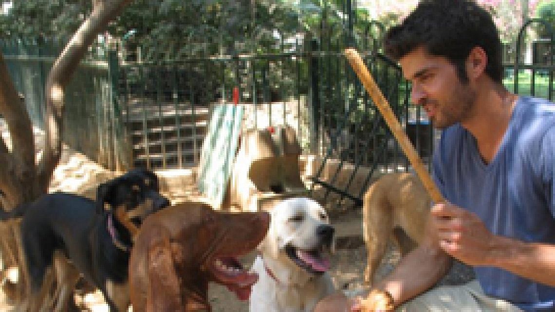 ירון זהבי. החיים כקייטנת כלבים