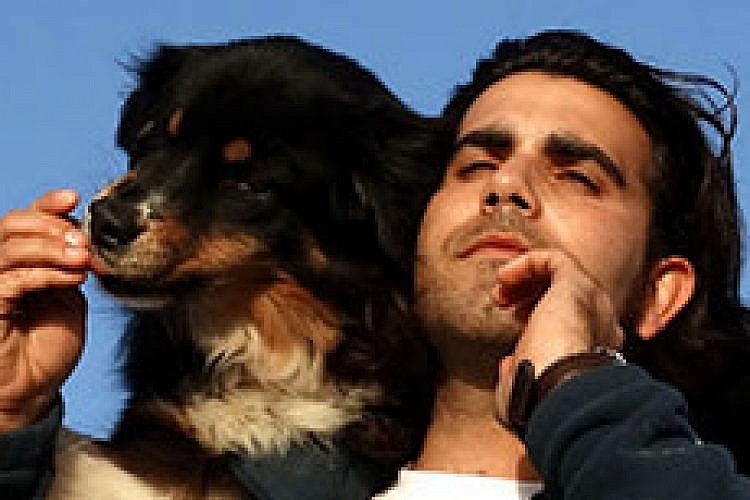 החתול והכלב