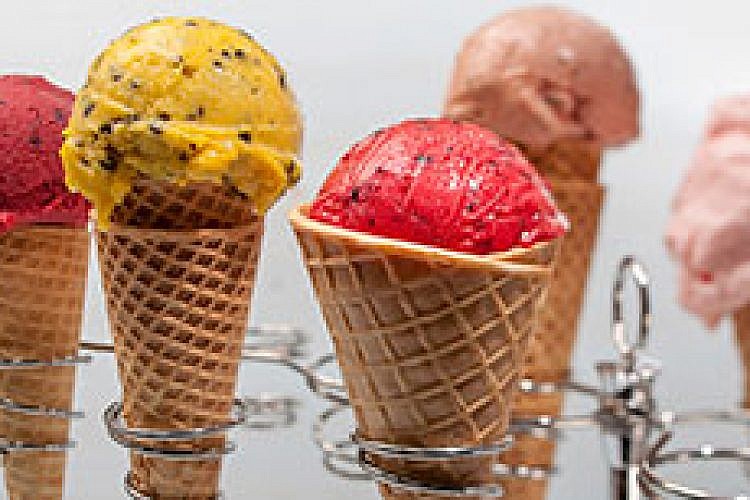 גלידריית אניטה