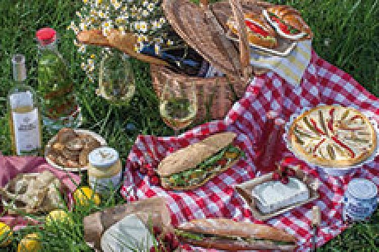 picnic-am-saronaT