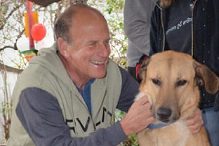 הכלב ג'ורג' וחבר. צילום: מיכאל אסקין