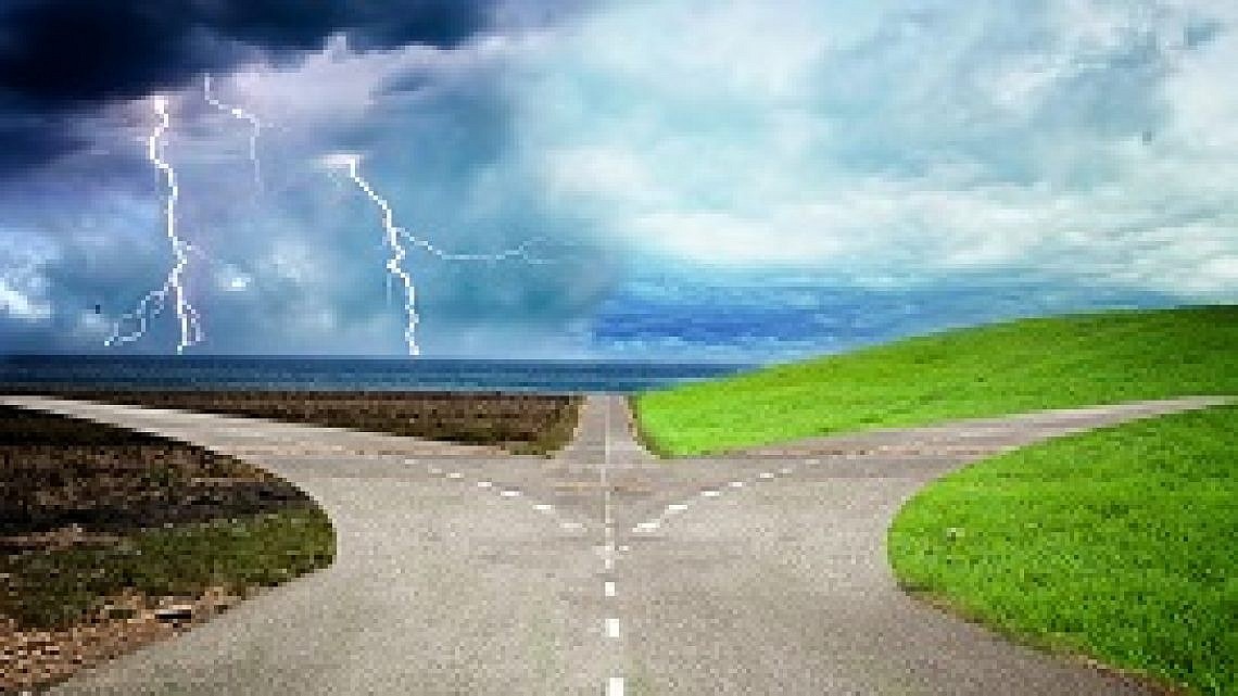 בחירתה של סופי. צילום: shutterstock