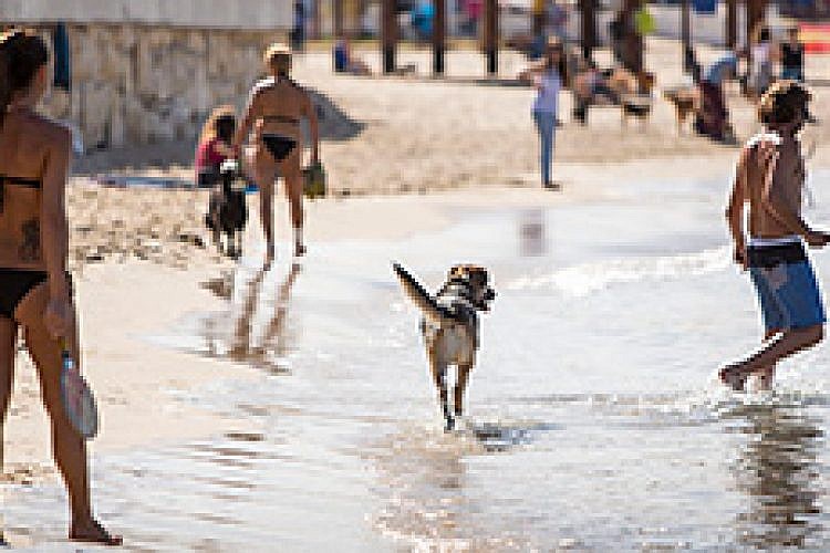 beach-seasont