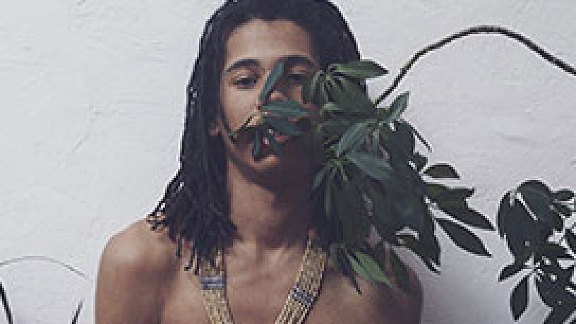 Dream Koala. צילום: יח"צ