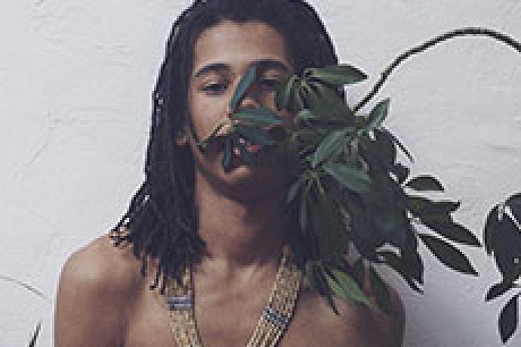 Dream Koala. צילום: יח"צ