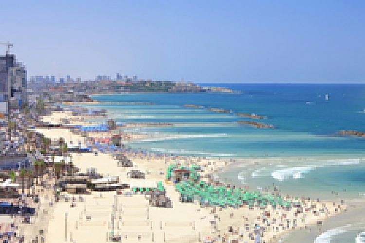 חוף תל אביב. צילום: Shutterstock