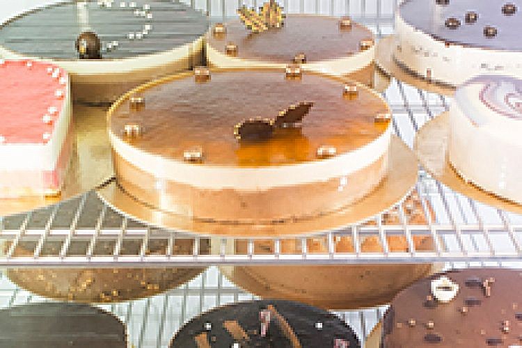 חלום יעקב. צילום: אורן זיו