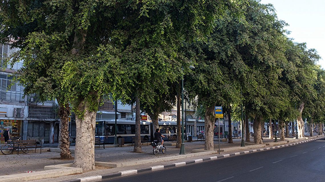 שדרות ירושלים (צילום: יולי גורודינסקי)