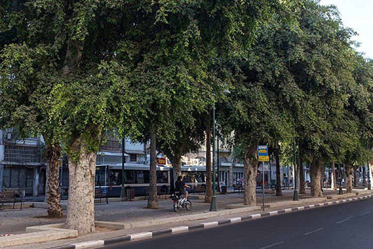 שדרות ירושלים (צילום: יולי גורודינסקי)