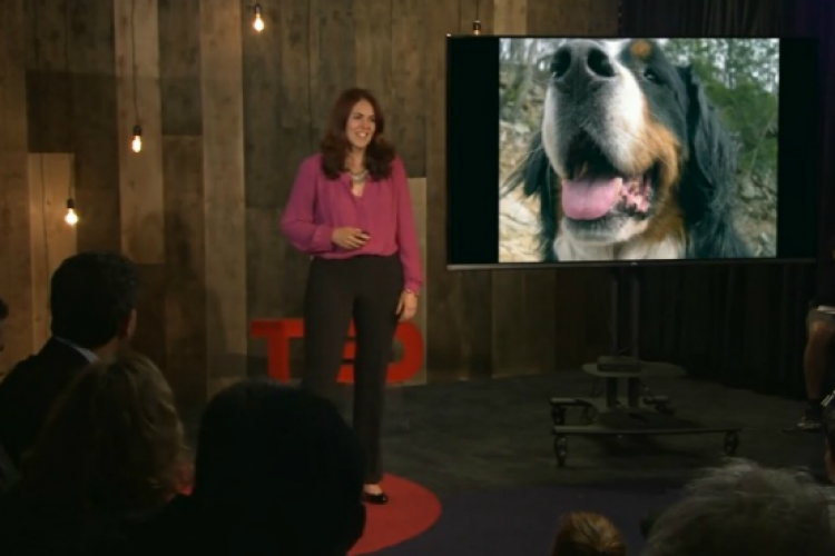 OCD אצל כלבים. הרצאה ב-TED (צילום מסך)